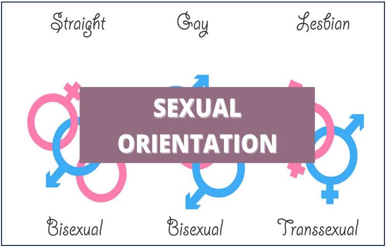 सेक्सुअल Orientation